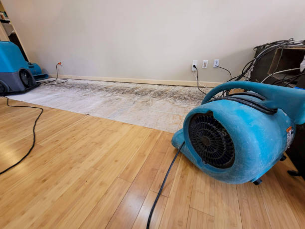 Professional Water Removal technician working in Meadow Lands, PA